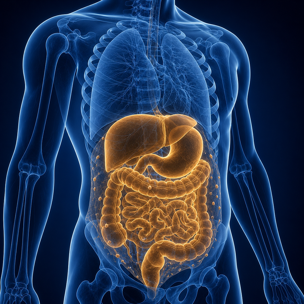 Ilustración médica de la carcinomatosis peritoneal en la cavidad abdominal
