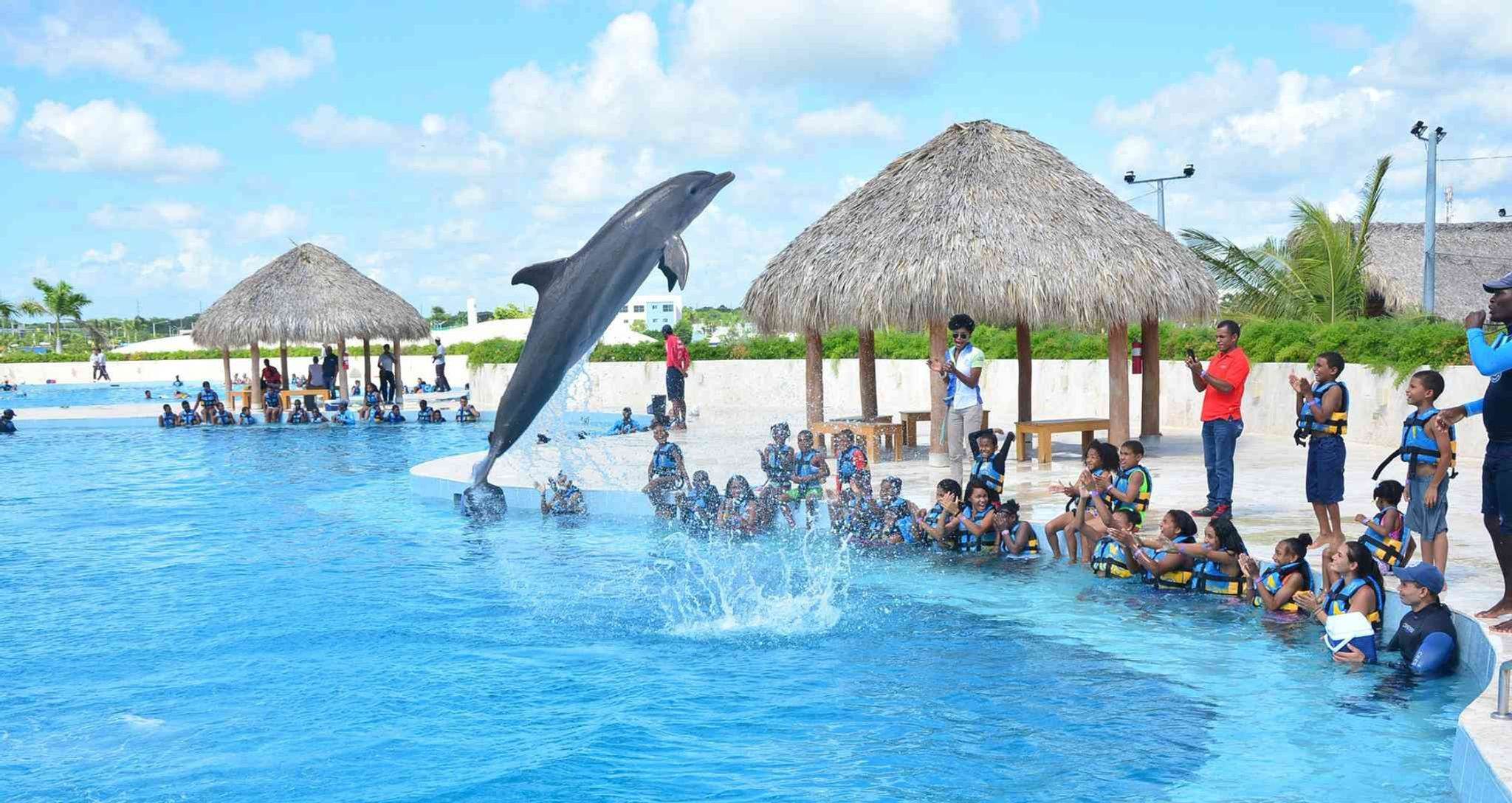 Dolphin Discovery Punta Cana