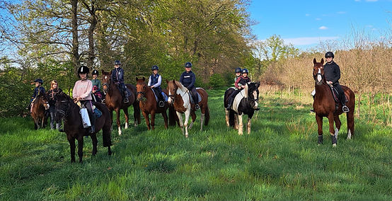 20250419_163711 (1).jpg