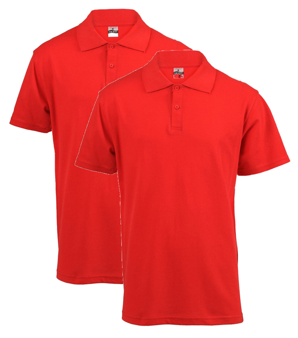Thumbnail: Blank Men's Polo 2 - Pack ( Assorted colours)