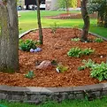how-mulch-standard_bb9d1b33c13f59928b4f9976fe992576.webp