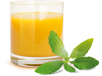 Mango Juice