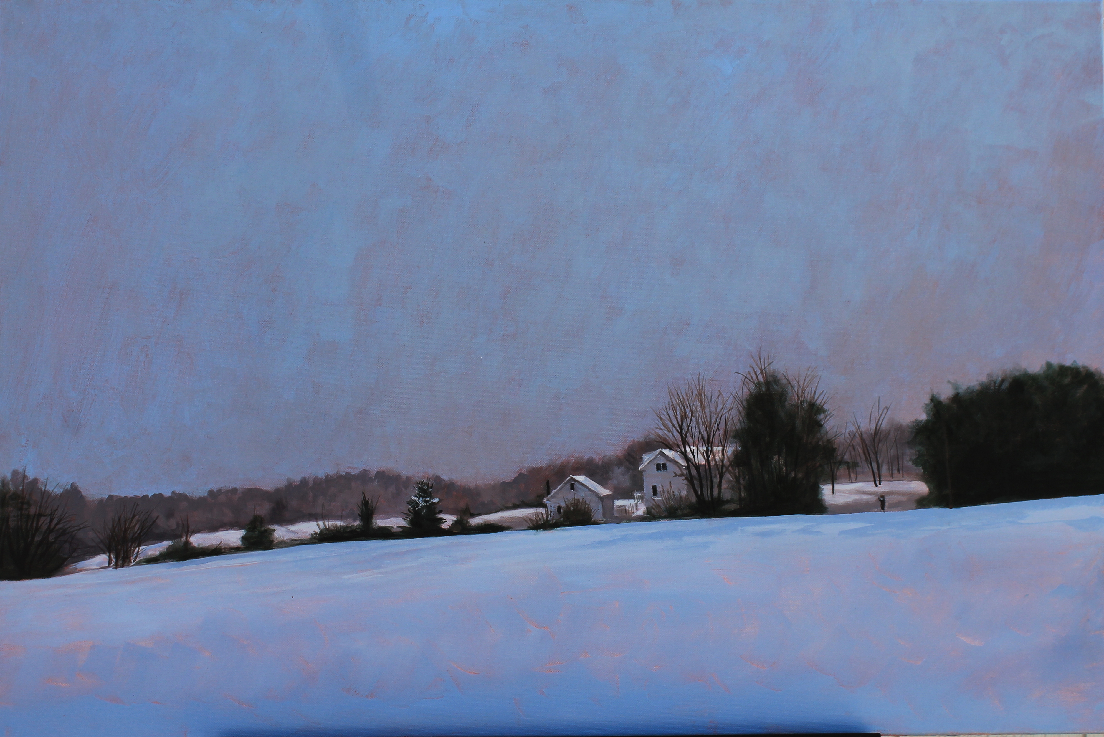 "After a Winter Storm"