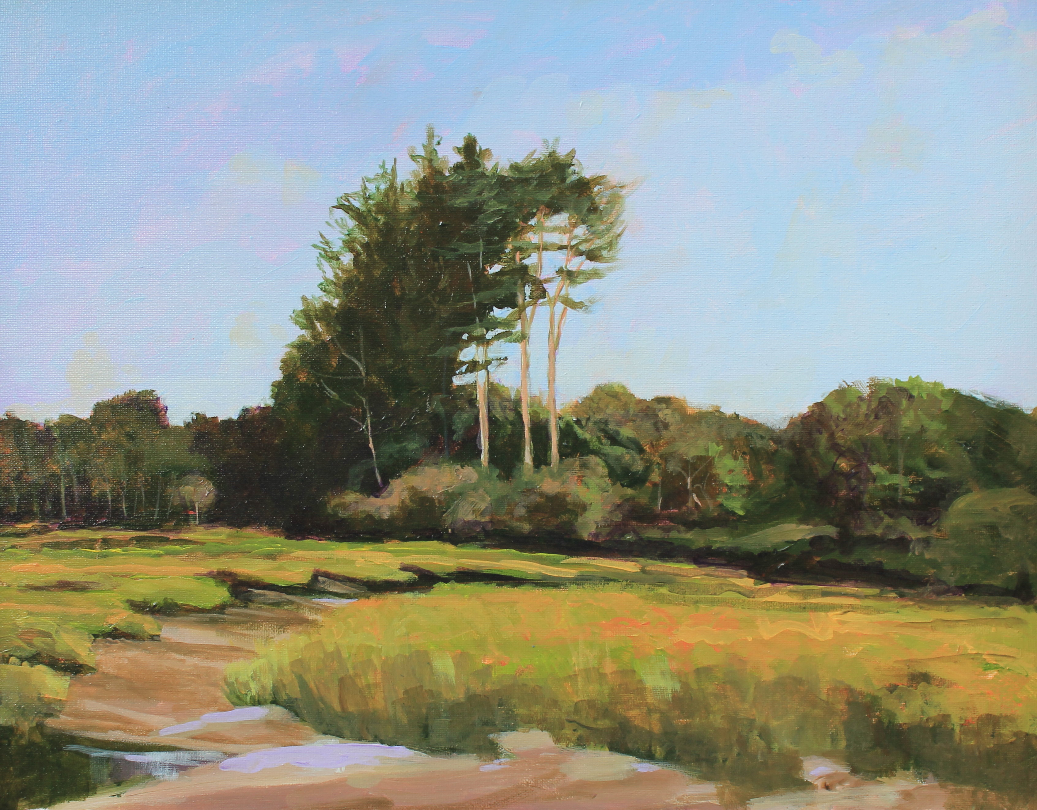 Parsons Beach Road _2