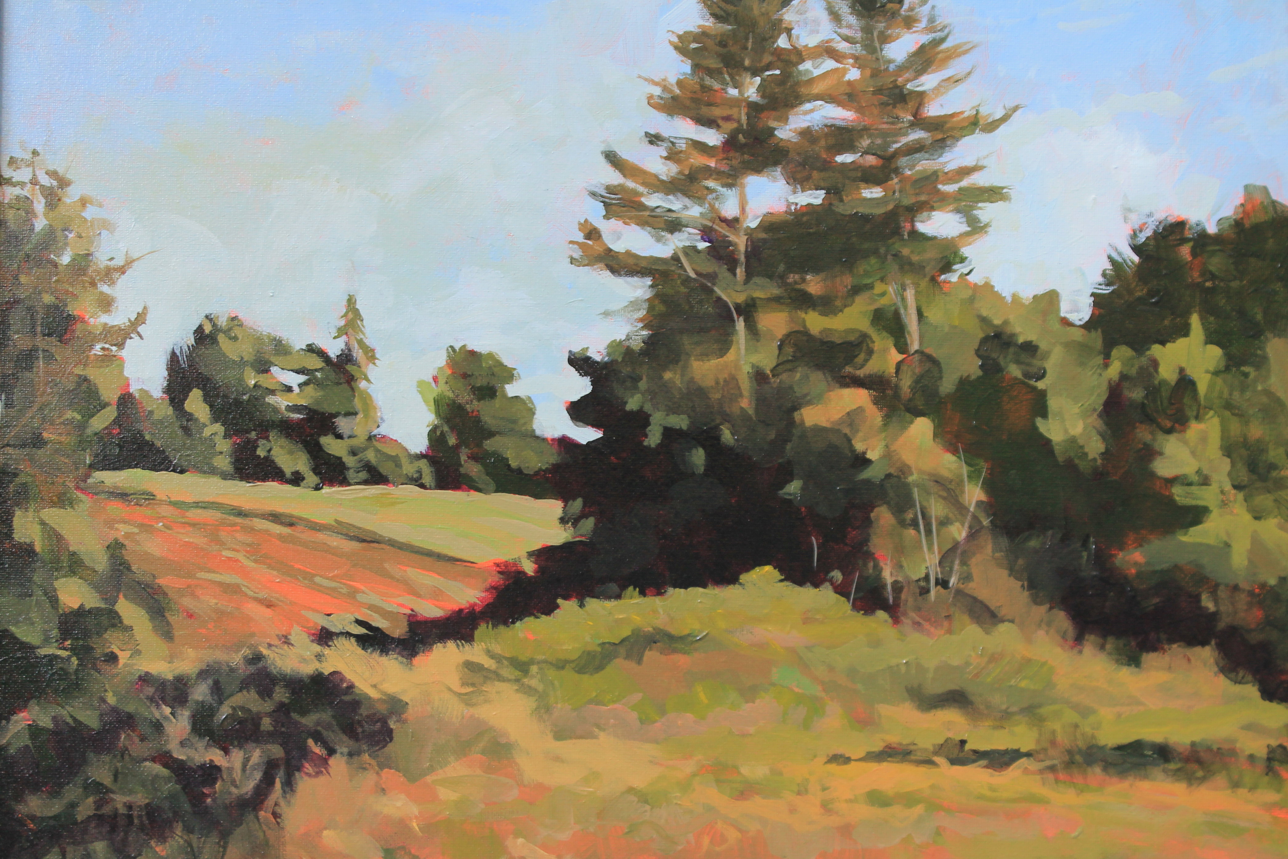 Parsons Beach Road _1