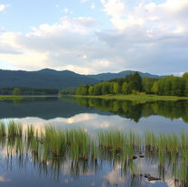 Reflection