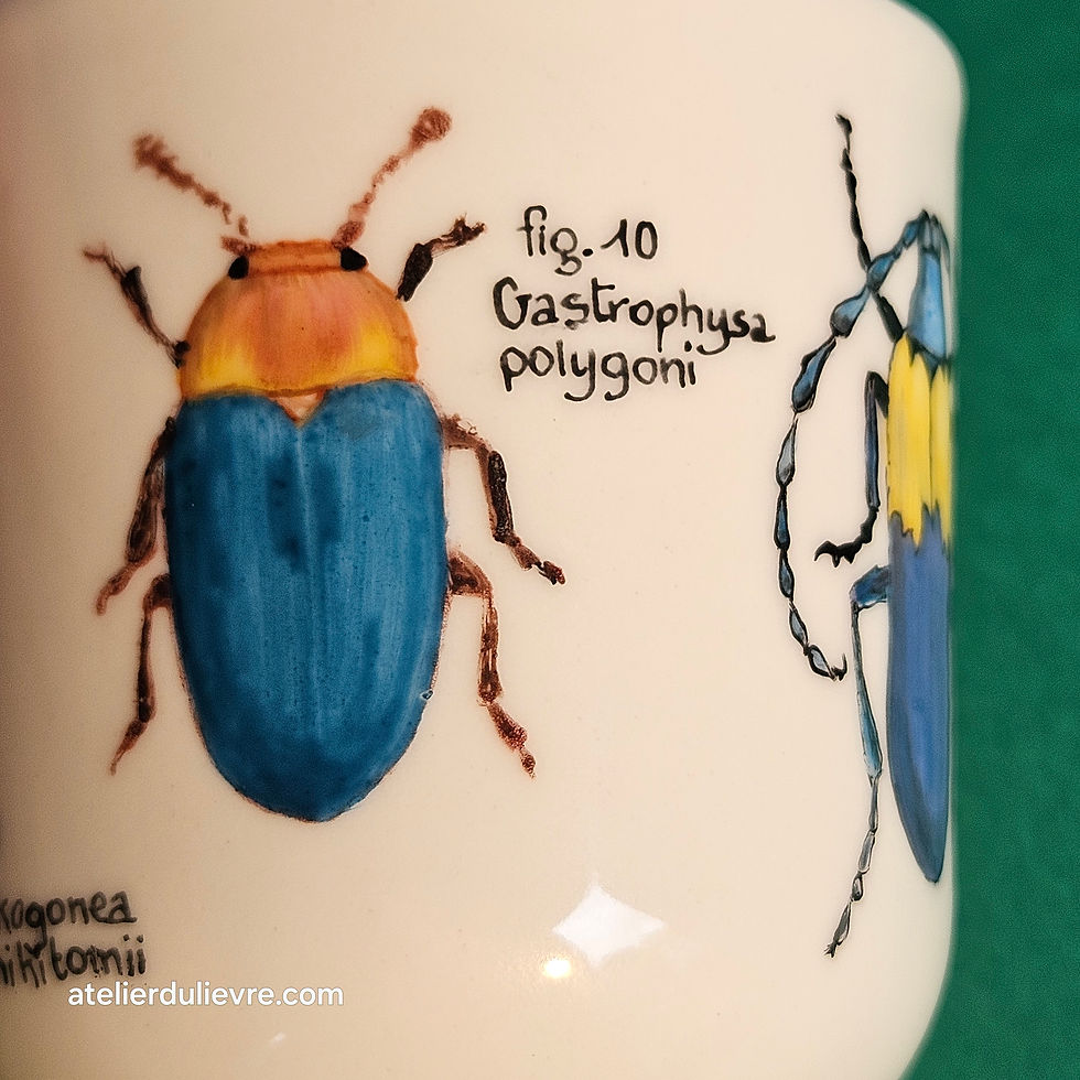 Miniature : Gobelet aux coléoptères