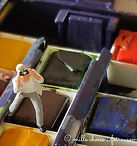 photo aquarelle