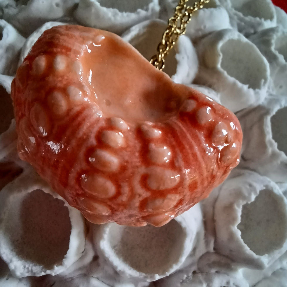 Thumbnail: Pendentif demi oursin
