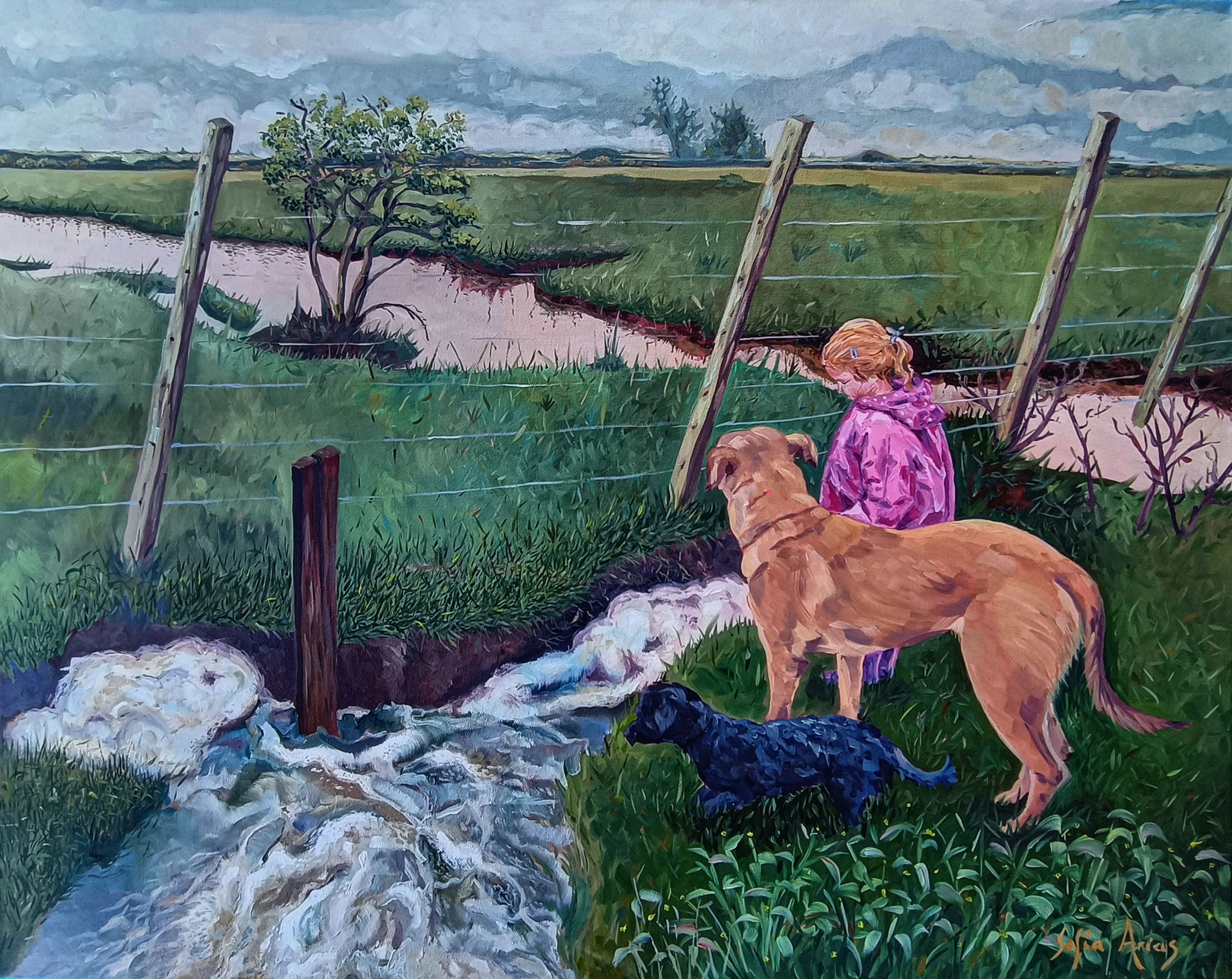 Excursión después de la tormenta 