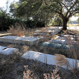 The survey was compiled by Mary Murphy-Hoffman on 31 July 2006 and updated 29 December 2010.