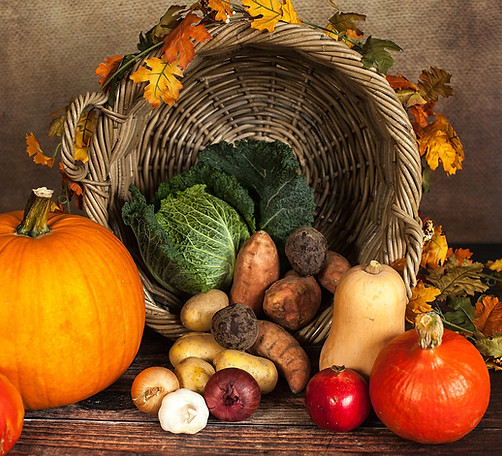 pixabay-Sabrina_Ripke_Fotografie_pumpkin