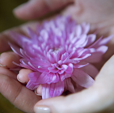 手で花