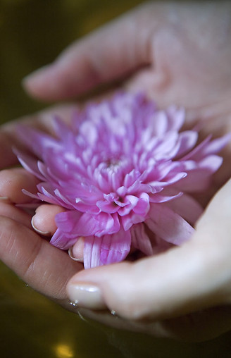 手で花 