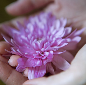 手に花