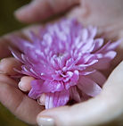 Flower in Hand