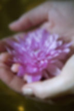 Flower in Hand