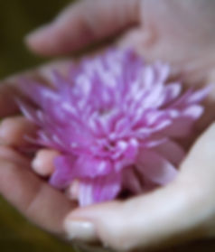 magnétiseur, Reiki, healing hands, healer, wellne, natural, body, emotions, bien-être, se guérir, migraine, cancer,