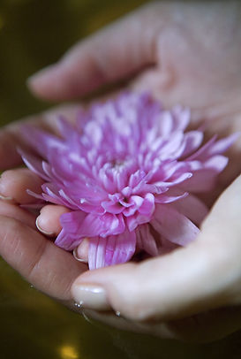 Flower in Hand 