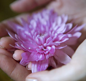 Flower in Hand