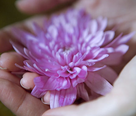 Fleur en main