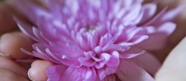 Ser una Bendición para los Demás