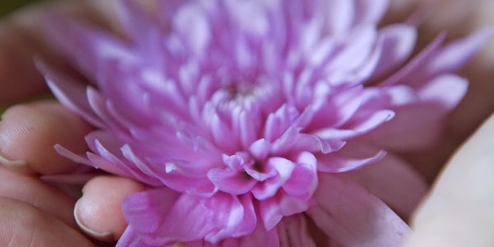 A guided meditation for Abundance