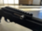 Thumbnail: NPF22 Stripped Receiver