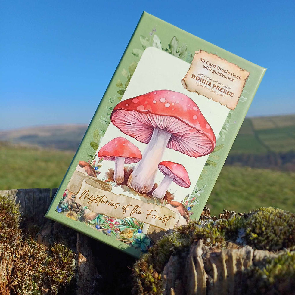 Mysteries of the Forest