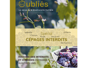 Revue spéciale cépages interdits