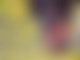 Vietnamese version 🇻🇳