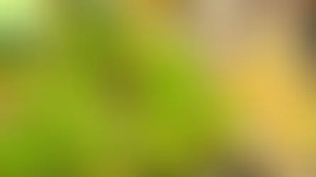 El sabor del vino enloquece