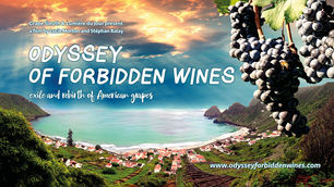 SAME FILM, NEW TITLE