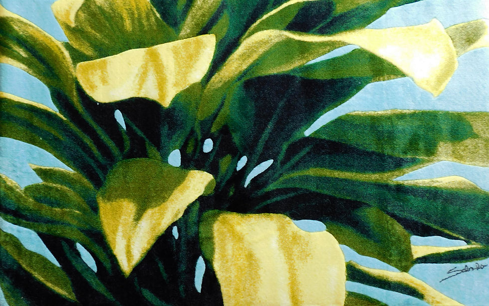 Thumbnail: Ti Leaf Blue Sky