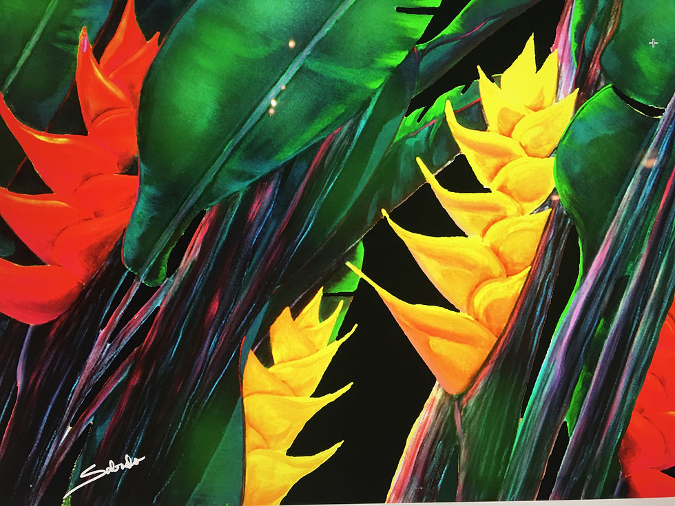 Thumbnail: Multiple Heliconia