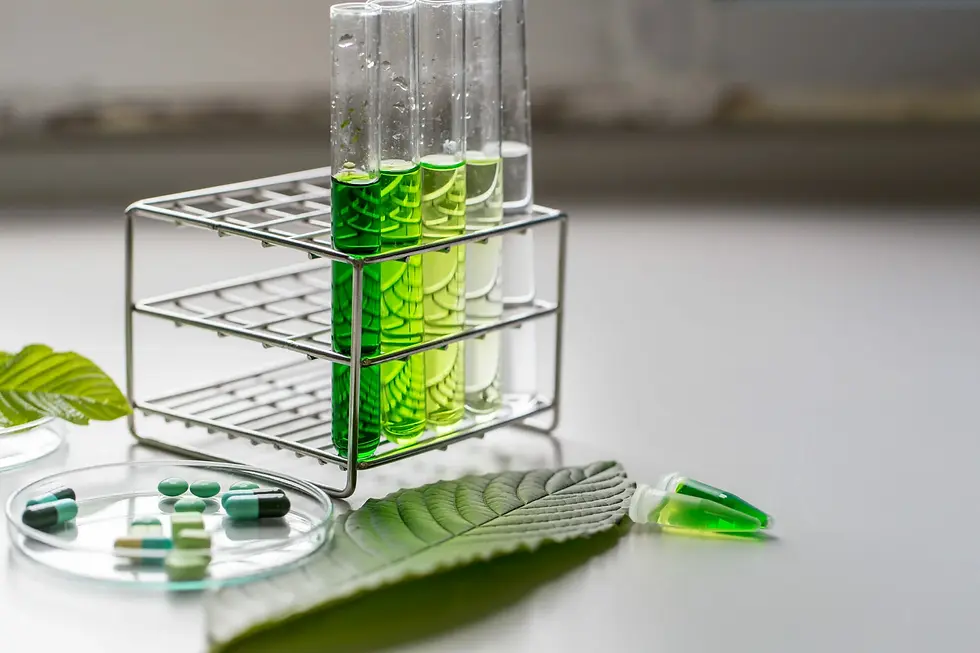 Umweltfreundlich hergestellte Moleküle aus Lignin sollen als Ausgangsstoff für Pharmazeutika dienen (Bildquelle: TARA 24, https://www.tara24.at/forschung-wissenschaft/arzneistoffe-werden-aus-holz-gewonnen-und-holz-waechst-wieder-nach/)