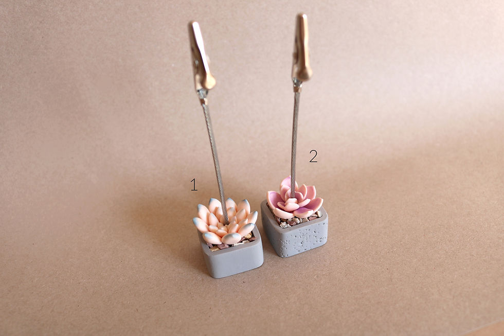 Thumbnail: Succulent Pot Photo & Memo Holders