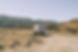 H2Field6.jpg