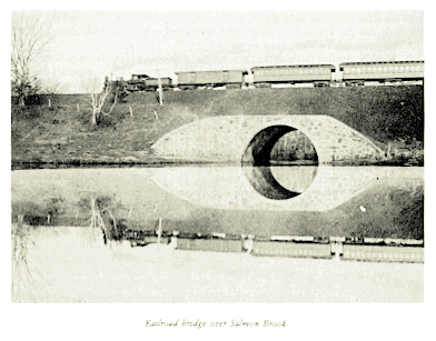 Railroad Bridge over Salmon Brook
