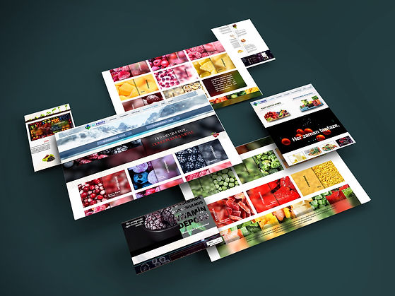 WEB SANAL Mockup.jpg