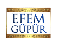 EFM6.png