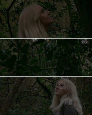 triptic.jpg