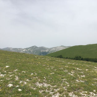 Trekking near Castelluccio di Norcia 5.jpeg