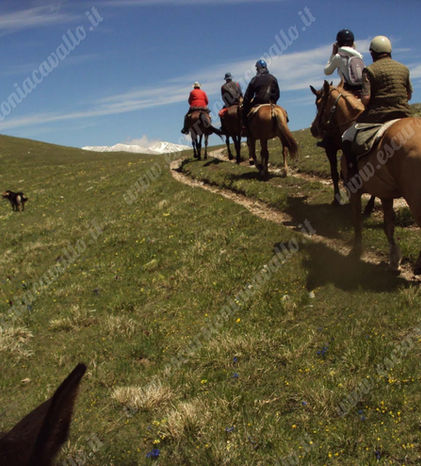 sentiero-di-montagna-a-cavallo.jpeg
