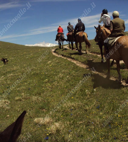 sentiero-di-montagna-a-cavallo.jpeg