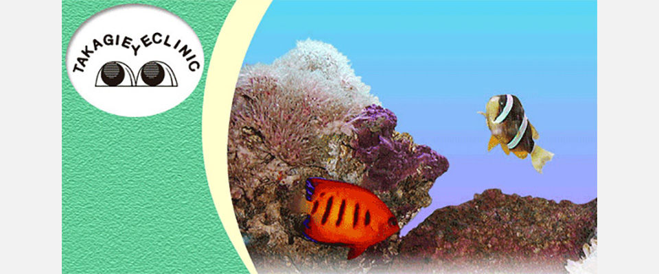 熱帯魚
