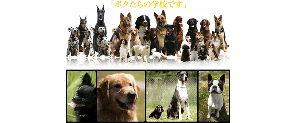 中部警察犬訓練所