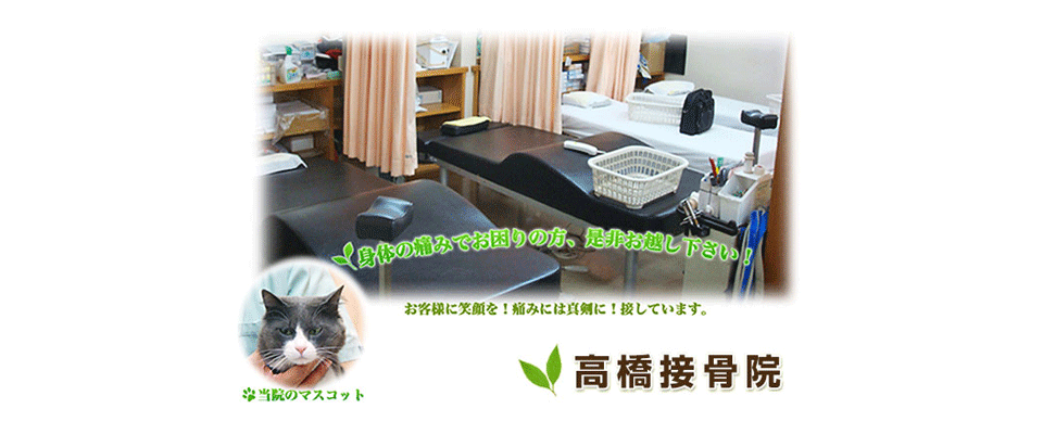 院内風景と、当院のマスコット(猫)