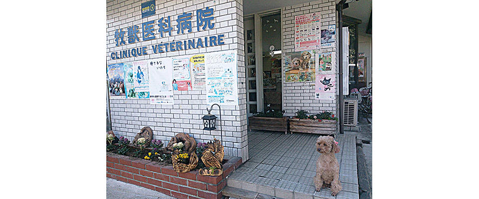 牧獣医科病院外観