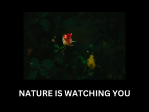 Why Freddie cannot be Bruce Lee.... The Problem with Echoing Another